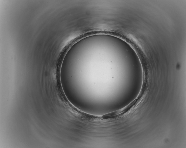 X0000095531307200712211316