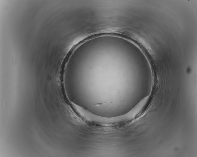 X0000095531308200712211316