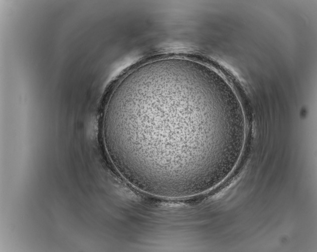 X0000095531309200712211316