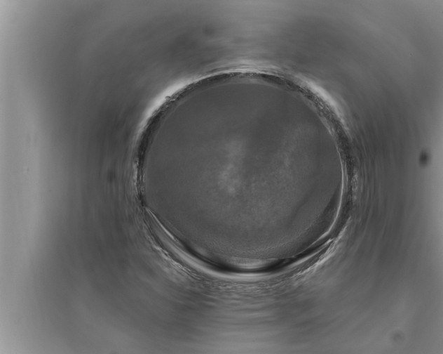 X0000095531310200712211316