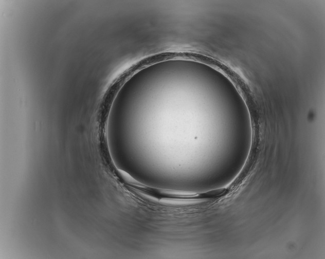 X0000095531311200712211316