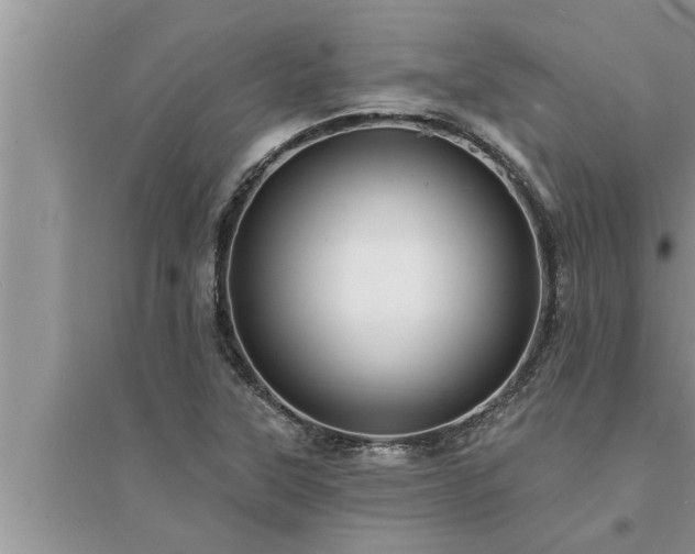 X0000095531315200712211316