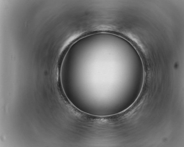 X0000095531317200712211316
