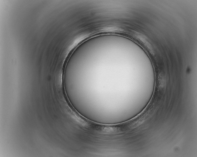 X0000095531322200712211316