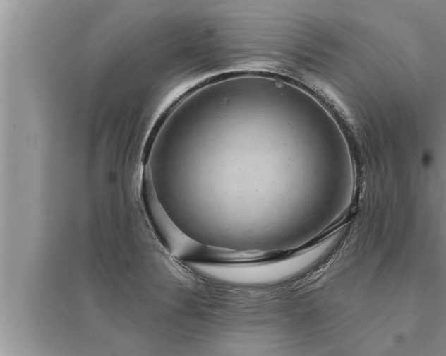 X0000095531324200712211316