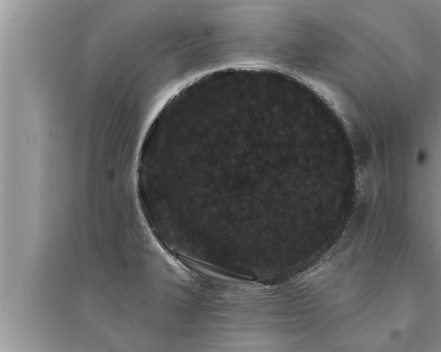 X0000095531327200712211316