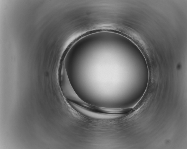 X0000095531328200712211316