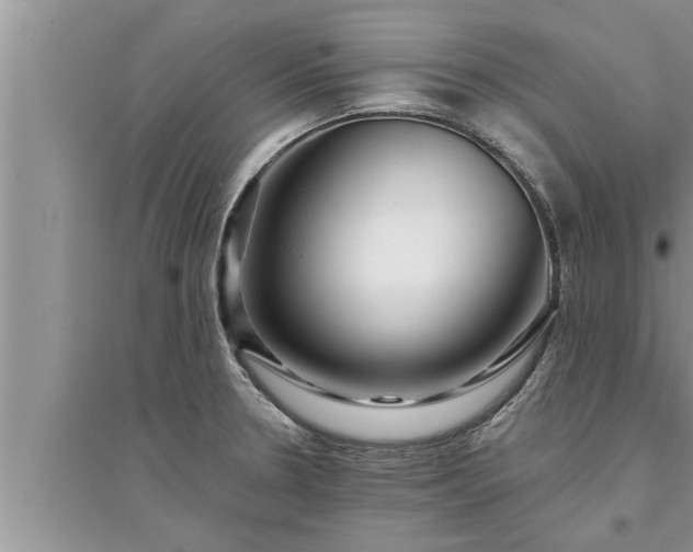 X0000095531330200712211316