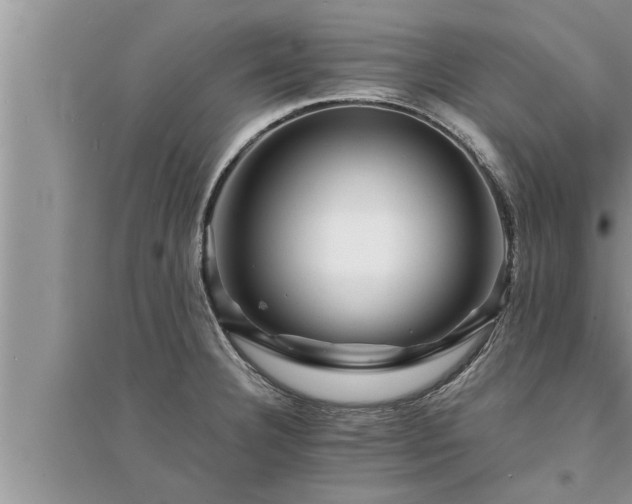 X0000095531332200712211316