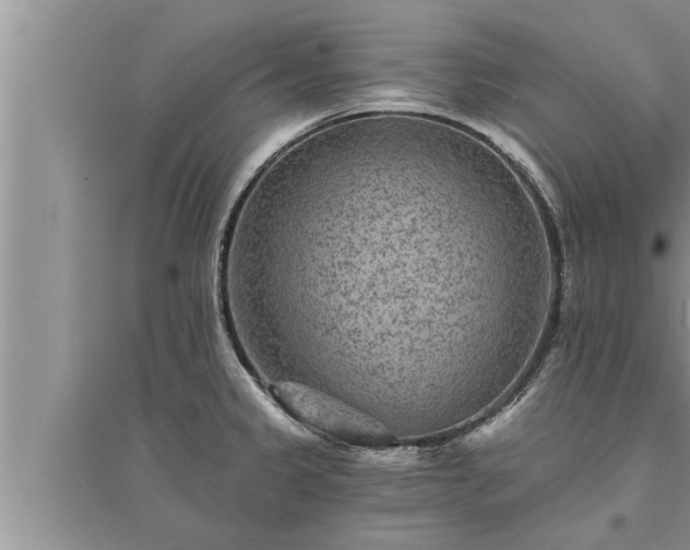 X0000095531333200712211316