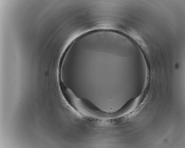 X0000095531334200712211316