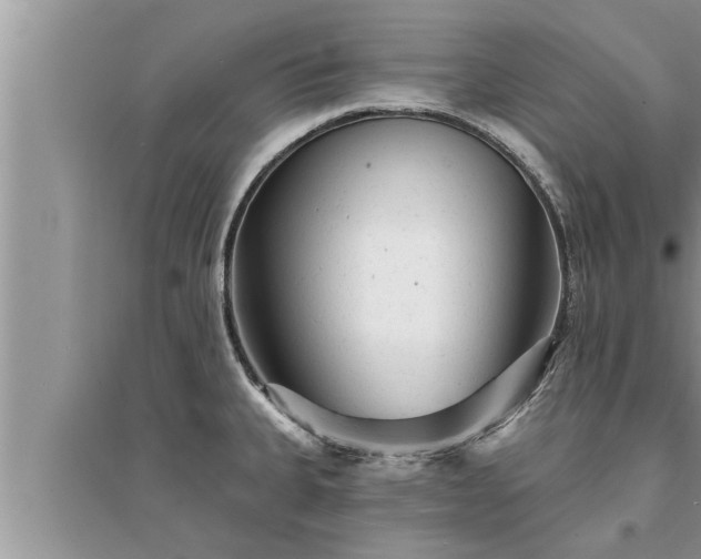 X0000095531335200712211316