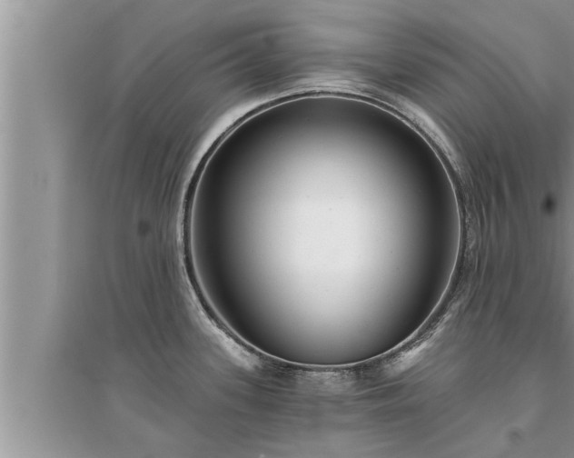 X0000095531339200712211316