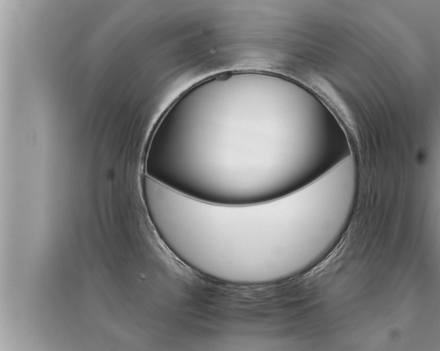 X0000095531340200712211316
