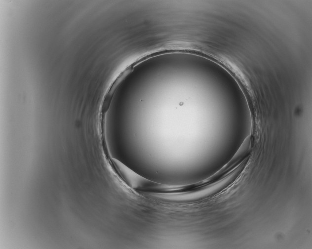 X0000095531342200712211317