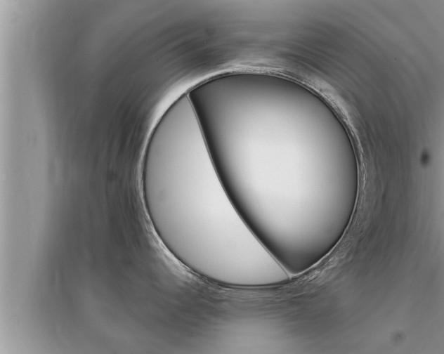 X0000095531344200712211317