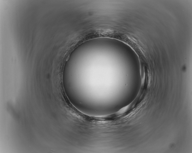 X0000095531345200712211316