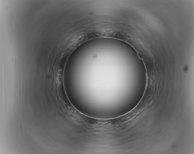 X0000095531346200712211316