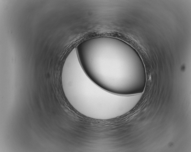 X0000095531348200712211316