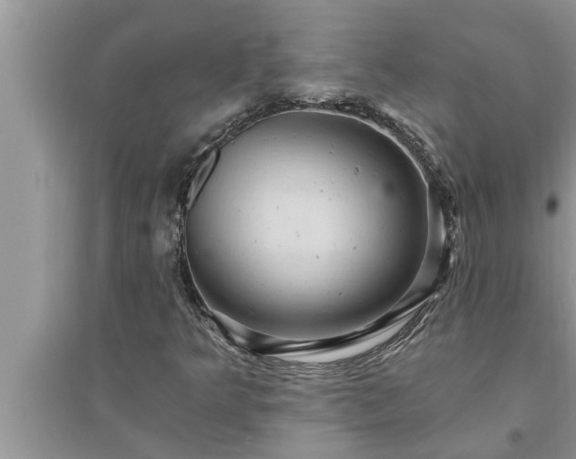 X0000095531349200712211316