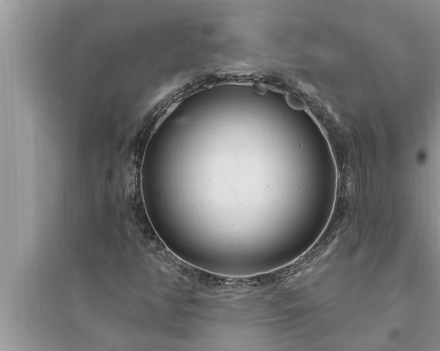X0000095531350200712211316