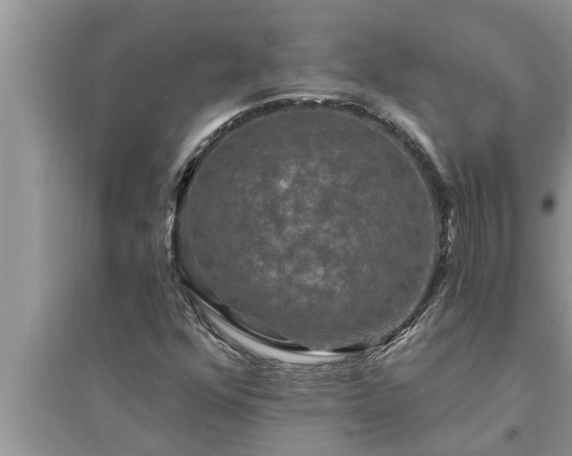 X0000095531352200712211316