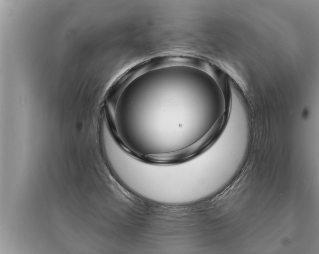 X0000095531356200712211316