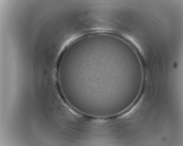 X0000095531357200712211316