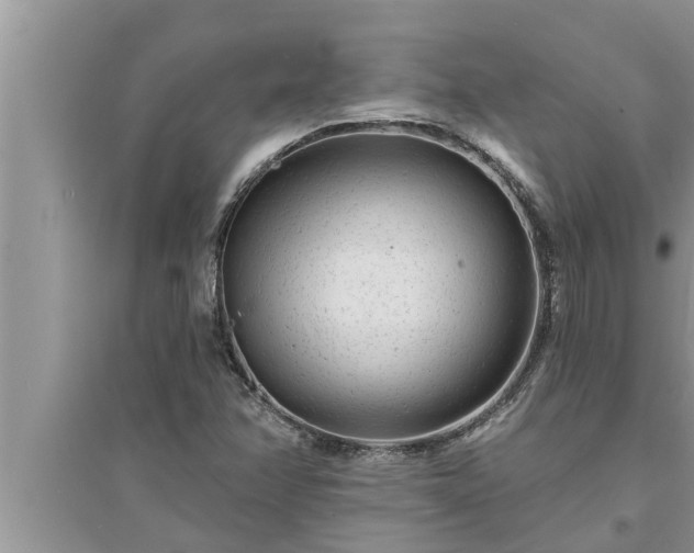 X0000095531358200712211316