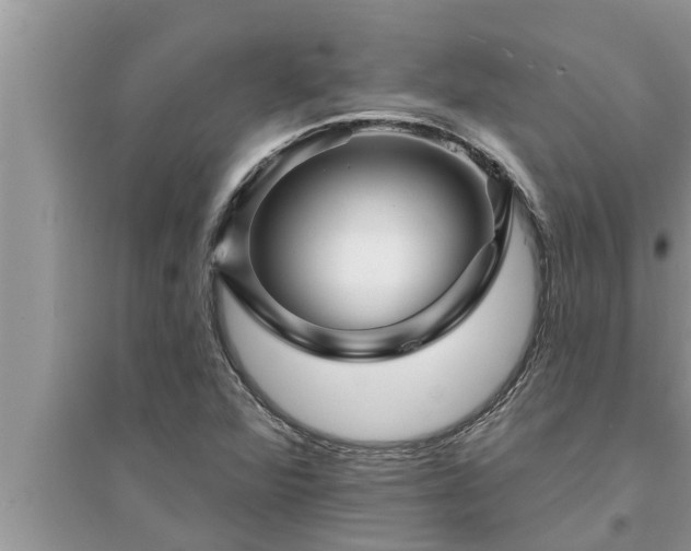 X0000095531360200712211316