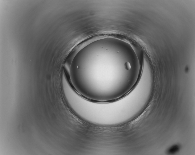 X0000095531361200712211316