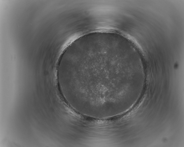 X0000095531362200712211316