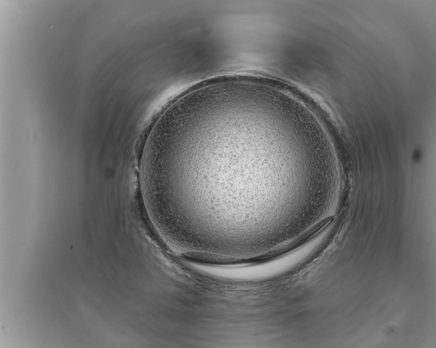 X0000095531363200712211316