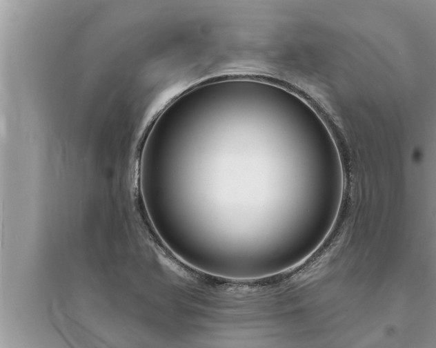 X0000095531366200712211316