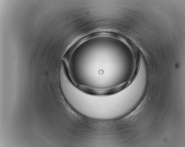 X0000095531369200712211316