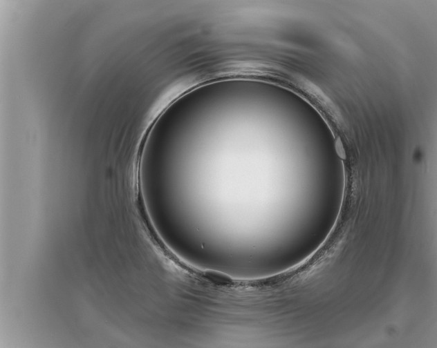 X0000095531370200712211316