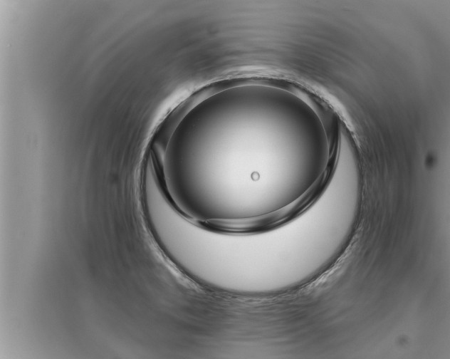 X0000095531373200712211315