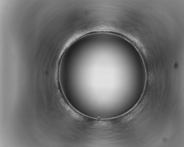 X0000095531374200712211315