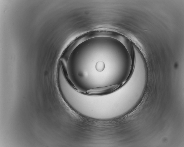 X0000095531376200712211315