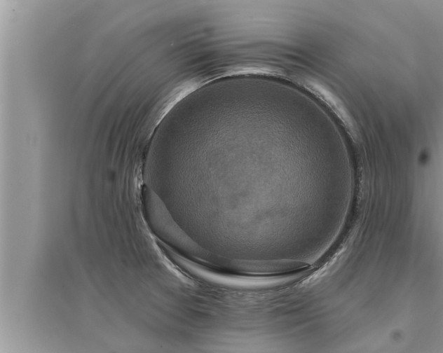 X0000095531377200712211315