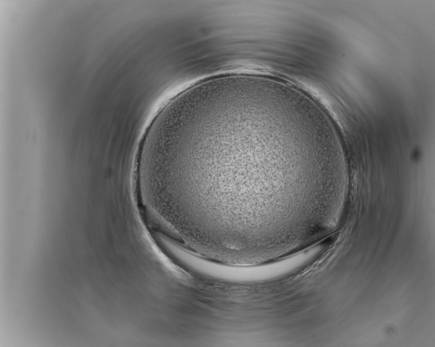 X0000095531379200712211315
