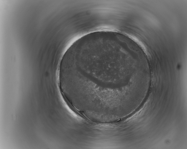 X0000095531383200712211315