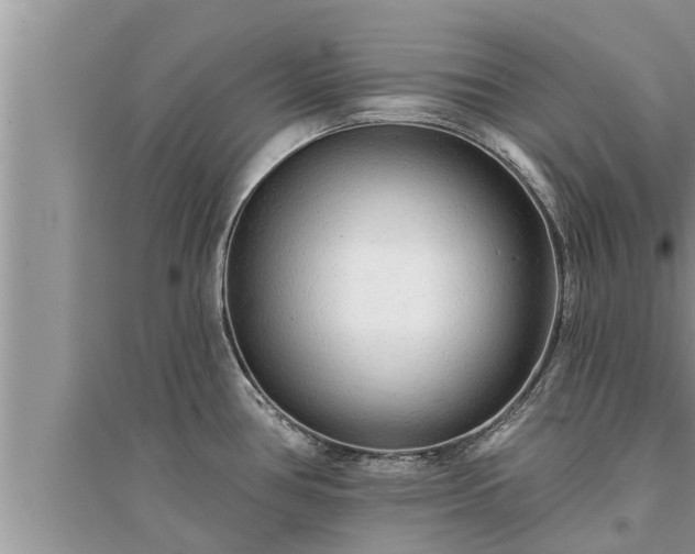 X0000095531386200712211315