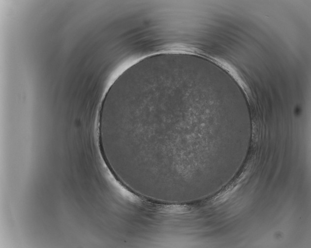 X0000095531387200712211315