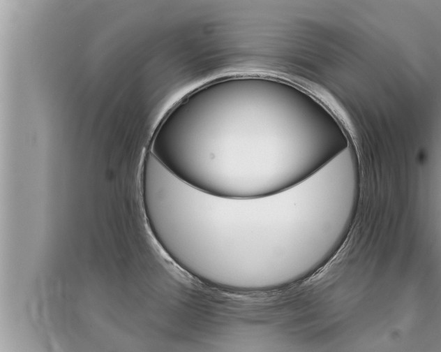 X0000095531388200712211315