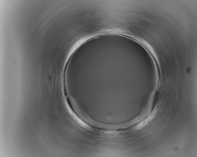 X0000095531389200712211315