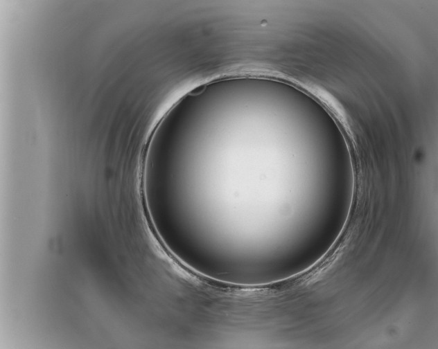 X0000095531390200712211315