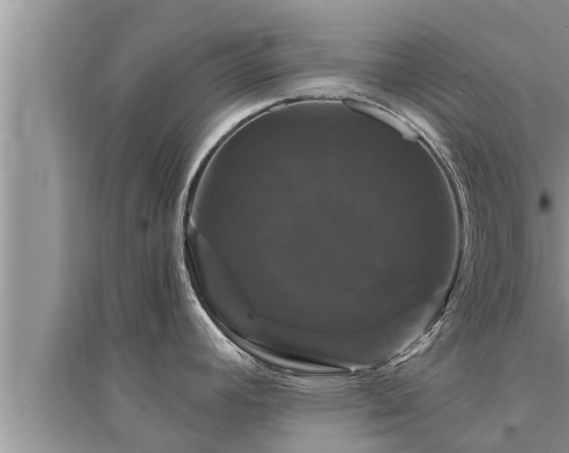 X0000095531392200712211315
