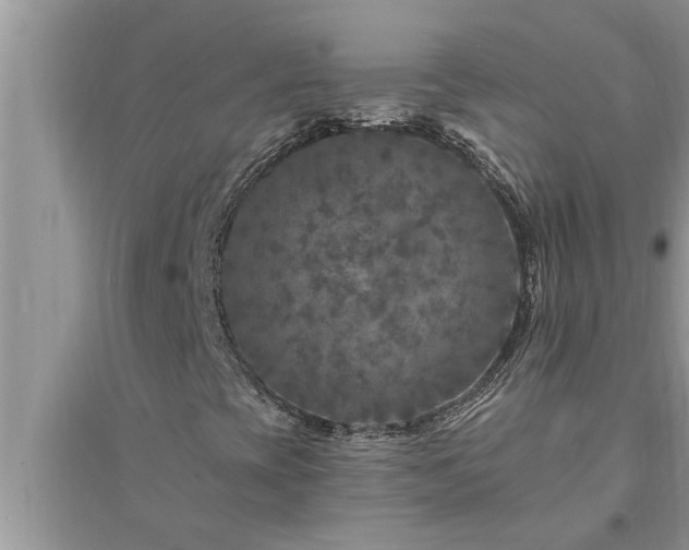 X0000095531393200712211315