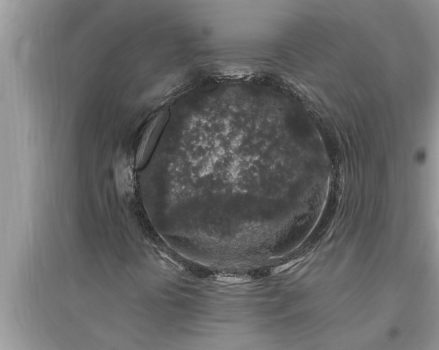 X0000095531394200712211315